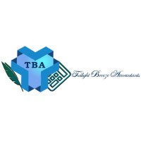 Twilight Breeze Accountants (PTY) LTD logo - Similar company to Intent Accounting Solutions