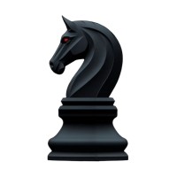 Black Knight Consulting Group logo - Similar company to Pax Intelligence