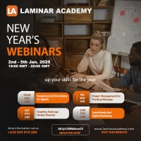 Laminar Academy logo - Similar company to Beron Intelligence