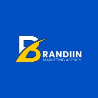 Brandiin logo - Similar company to Cloud Vortex Innovation