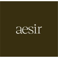 Aesir Agency logo - Similar company to Willow Studio