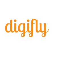 Digifly Web Solutions logo - Similar company to Vikash Technology