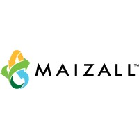 MAIZALL logo - Similar company to Algoritmo Studio