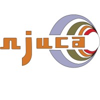 Njuca Consolidated Company Limited logo - Similar company to Pleng Limited