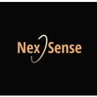 NexSense logo - Similar company to Nexsense, Inc.