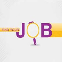 Find your Job Vacancy logo - Similar company to Jobvacancy.Io