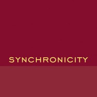 Synchronicity Group logo - Similar company to Brins Barcelona
