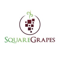 SQUAREGRAPES logo - Similar company to Magguney Ltd