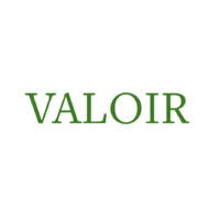 Valoir Incorporated logo - Similar company to Lead Different Consulting