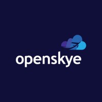 Openskye Global logo - Similar company to Sky Global
