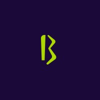 Boomerang Delivery logo - Similar company to Geekspro