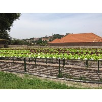 Farmers Hub Uganda - Hydroponics logo - Similar company to Marejeo For Development