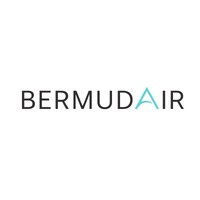 BermudAir logo - Similar company to Skywise Consulting