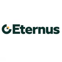 Eternus Global logo - Similar company to Windustry