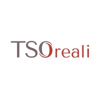 TSO REALI logo - Similar company to Pro Tech System