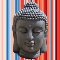 Onderhoudsarmoe logo - Similar company to Nederlandse Dendrologische Vereniging