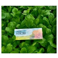 Superlife Stc30 Scc15 Sic officiel logo - Similar company to Superlife World