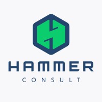 Hammer - Consult logo - Similar company to Flowti