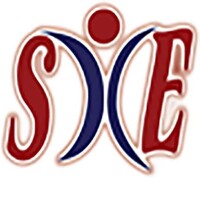 School Of International Education logo - Similar company to Kidex Academy