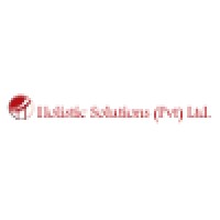 Holistic Solutions (Pvt.) Ltd. logo - Similar company to Lead Telicom Smc-Pvt Ltd