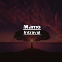 Mamo Intravel logo - Similar company to Akhtar Ali Foundation