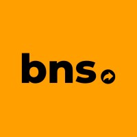 BNS logo - Similar company to Fincrest - Sociedade Distribuidora De Valores Mobiliários, S.A