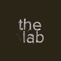 The Lab logo - Similar company to Purfict