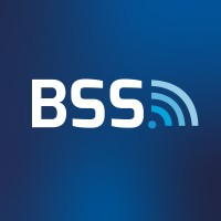 Bits & Systems Solutions logo - Similar company to Lysoft Digital