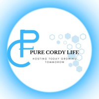 Pure Cordy Life Private Limited logo - Similar company to Supervision It Solutions