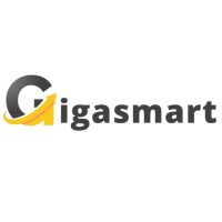 Gigasmart logo - Similar company to Primary Link