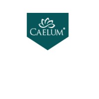 CAELUM SPA & WELLNESS PVT.LTD logo - Similar company to Sunway Wellness
