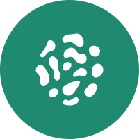 Coral.to logo - Similar company to Raso Studio