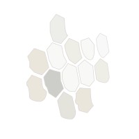 Biobanking Without Borders, LLC logo - Similar company to Biorepository Resources, Llc