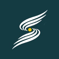 Synetich Srl | Consulenza Formativa logo - Similar company to Isiwi