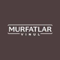 Murfatlar Vinul logo - Similar company to Tenq.Ro