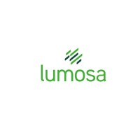 Lumosa France logo - Similar company to Midlands Lighting Solutions Ltd