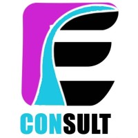 ES Consult logo - Similar company to T-Account Services
