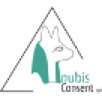 ANUBIS CONSENT SPRL logo - Similar company to Optimal | Executive Search & Hr Solutions