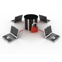 SiteDataView - A Michigan Small Business