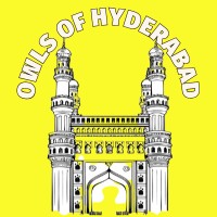 Owls Of Hyderabad logo - Similar company to Deck Excel Llc