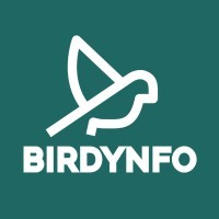 Birdynfo logo - Similar company to Quatrième Studio