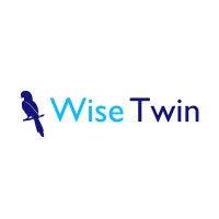 Wise Twin logo - Similar company to Mraz Robotics