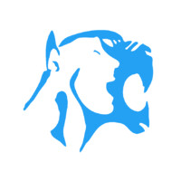 Centro De Estudiantes De Ingeniería Civil Uai Viña Del Mar