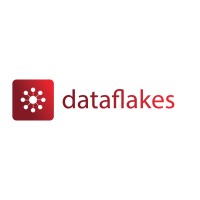 DataFlakes Innovations Pvt Ltd logo - Similar company to Dataflakes