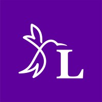 Limitless Marketing Agency