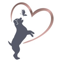 The Life of Riley Pet Care Services, LLC logo - Similar company to Sit & Stay Pet Care Services Inc.