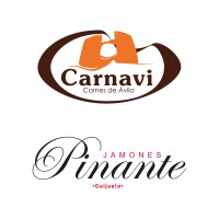 Carnavi | Pinante logo - Similar company to Universidad De Lima