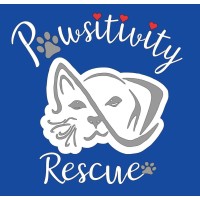 Pawsitivity Rescue Inc