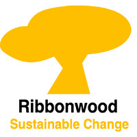 RibbonWood Consultancy logo - Similar company to Doornbos Lagerveld & Partners Sàrl