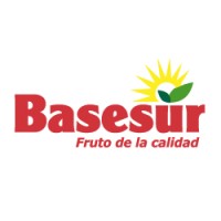 Basesur logo - Similar company to Banala
